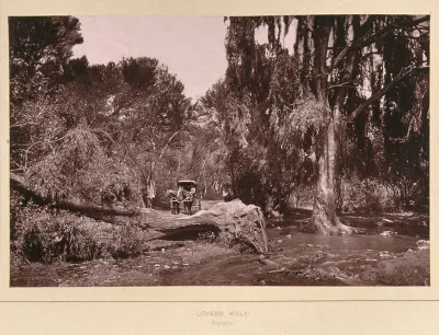 Lover's Walk, South Africa: a narrow lane obstructed by an uprooted tree and swollen stream
