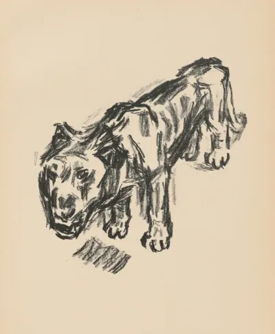 Löwe (Lion) from Deutsche Graphiker der Gegenwart (German Printmakers of Our Time)