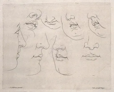 Lower parts of the face: outlines