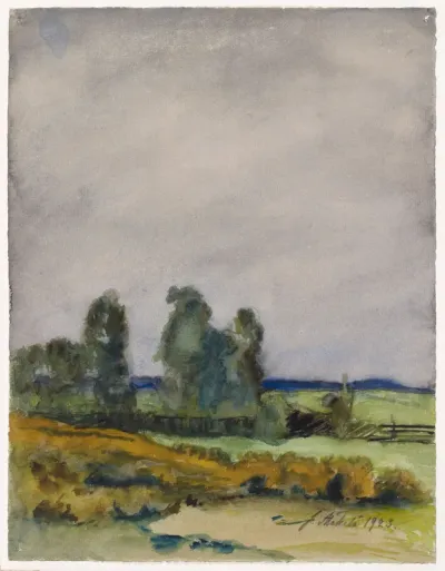 Lowland  Landscape