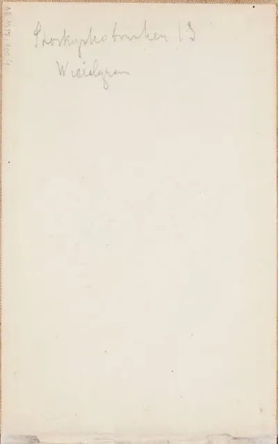 luonnoksia teokseen A II 835, Pariisin Luxembourgin puistossa, 1887