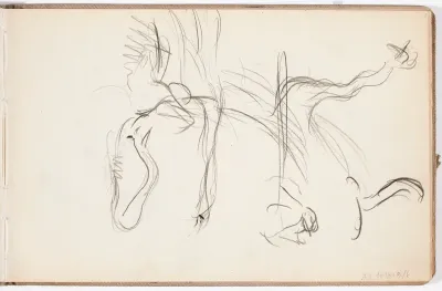Luonnos (joutsenia?)