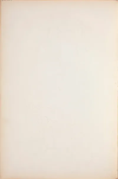 Luonnostelua