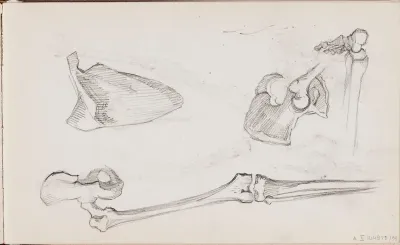 Luututkielmia