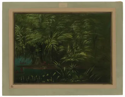 Luxuriant Forest on the Bank of the Amazon