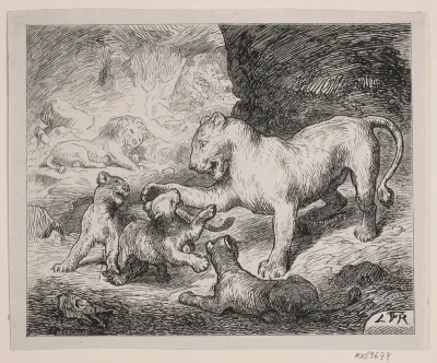 Løveungerne. Illustration til Chr. Winthers "Billedbog for Store og Smaa"