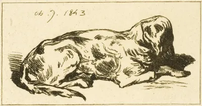 Lying Dog