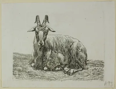Lying Goat, from Die Zweite Thierfolge