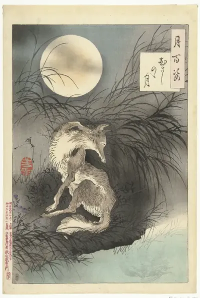 Maan van de Musashi vlakte