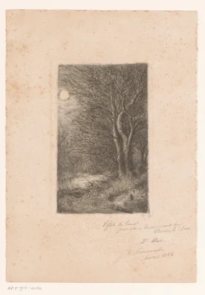 Maanlandschap bij 's Hertogenbosch