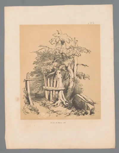 Maaslandschap met een hek bij bomen