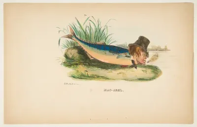 Mac-Arel, from "The Comic Natural History of the Human Race"