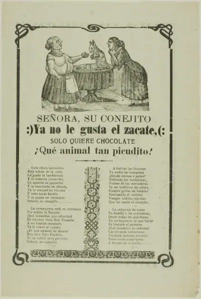 Madame, Your Little Rabbit...