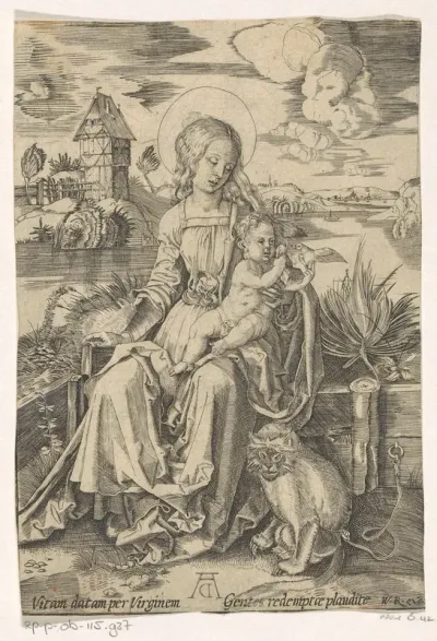 Madonna met de aap