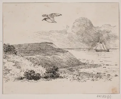 Mågen
