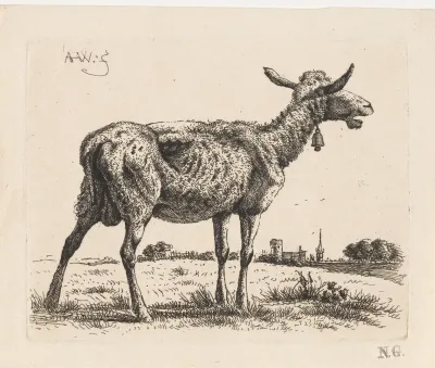 Mager schaap
