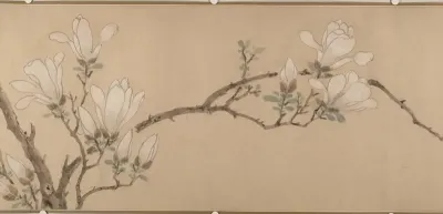 Magnolia