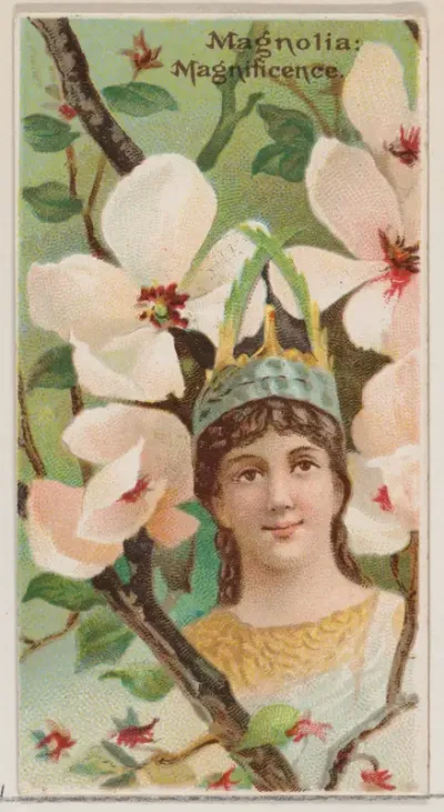 Magnolia: Magnificence, from the series Floral Beauties and Language of Flowers (N75) for Duke brand cigarettes