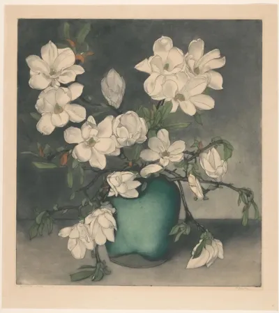 Magnoliatakken