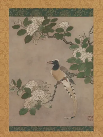 Magpie on Viburnum Branch