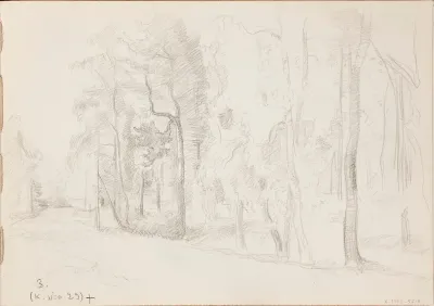 Maisema, maantie, metsää. Todennäköisesti n. 1925-28