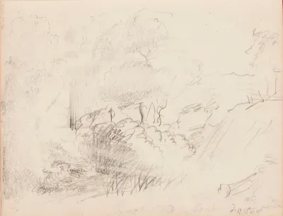 Maisema, puita ja pensaita. Merkitty: AE  / d. 12/11865