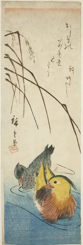 Makomo ni Oshidori.