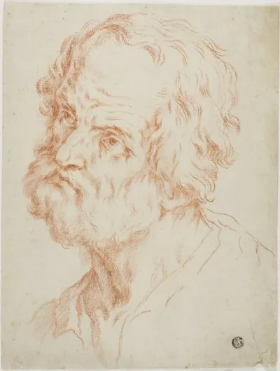 Male Head