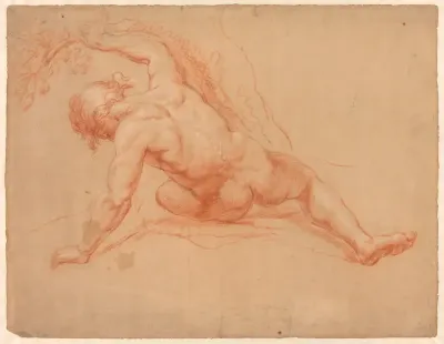 Male Nude Seen from Behind