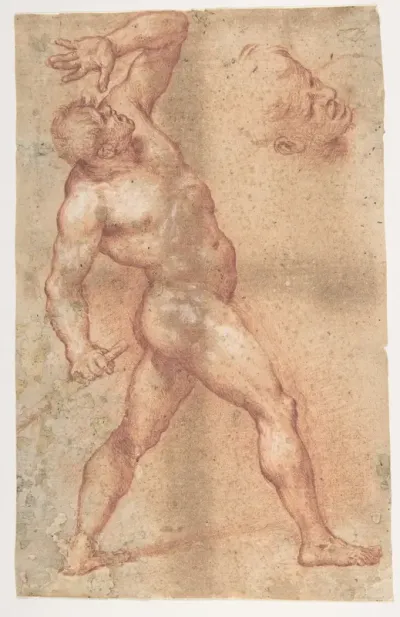 Male Nude with Left Arm Upraised, and a Further Study of His Head