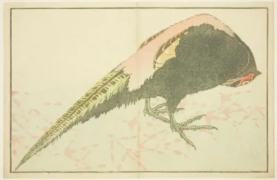 Male Pheasant, from The Picture Book of Realistic Paintings of Hokusai (Hokusai shashin gafu)