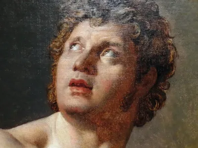 Male Torso