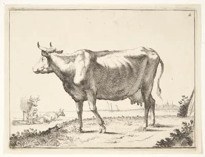 Malkeko