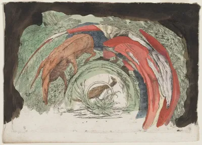 Man Driving an Animal