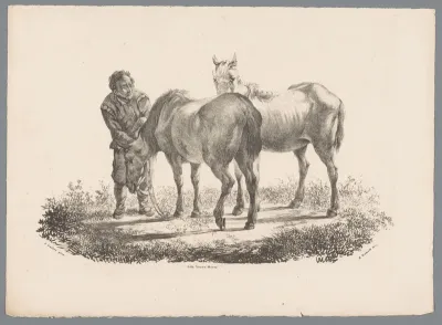 Man en twee paarden