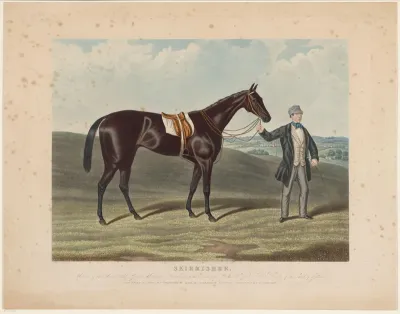Man houdt paard bij de teugels vast