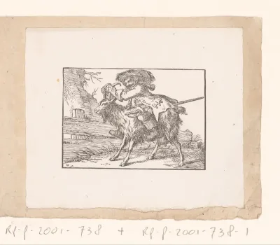 Man met bok