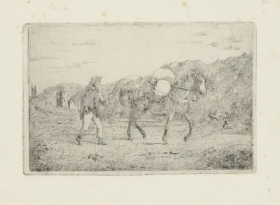 Man met paard in heuvellandschap
