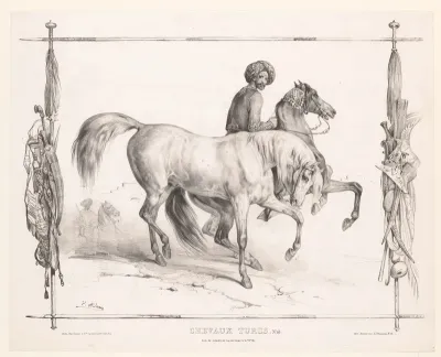 Man met twee Turkse paarden