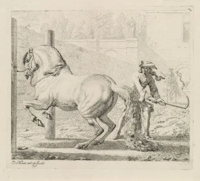 Man met zweep bij een paard