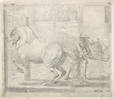 Man met zweep bij een paard