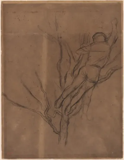 Man Pruning a Tree