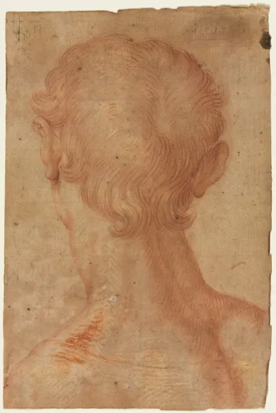 Man's Head from the Back