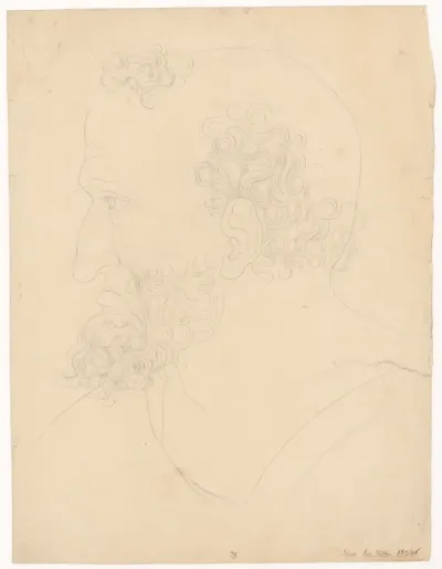 Man's Head in Profile