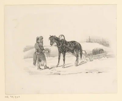 Man voert een paard met slede
