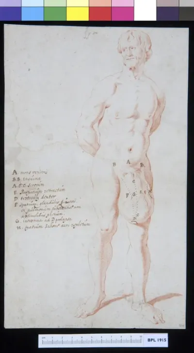 Man with enlarged scrotum