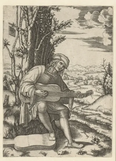 Man zittend in landschap speelt op vihuela