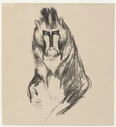 Mandril