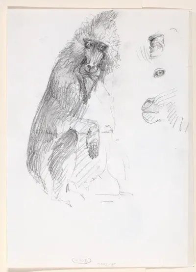 Mandril