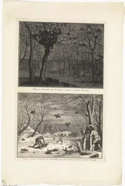 Manieren om kraaien te vangen in de winter